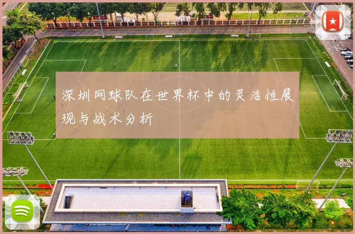 深圳网球队在世界杯中的灵活性展现与战术分析