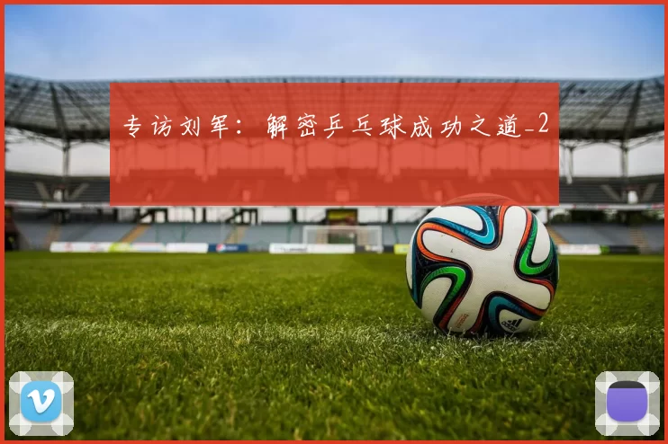 专访刘军：解密乒乓球成功之道_2