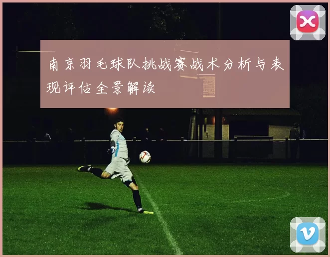 南京羽毛球队挑战赛战术分析与表现评估全景解读